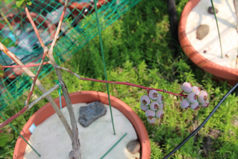 ファイル 57-4.jpg