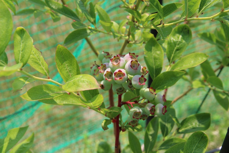 ファイル 57-5.jpg