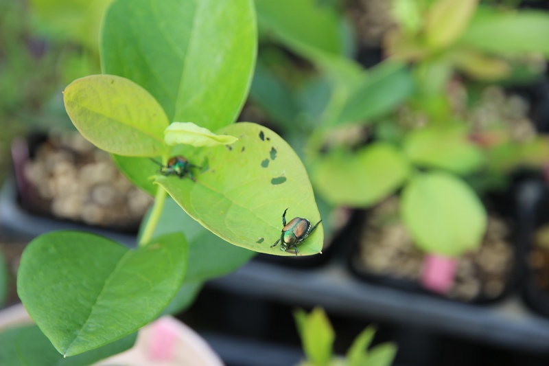 ファイル 57-6.jpg