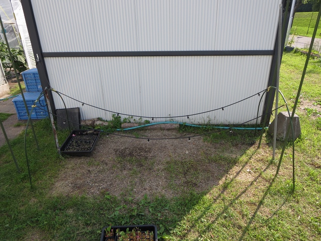 ファイル 58-2.jpg