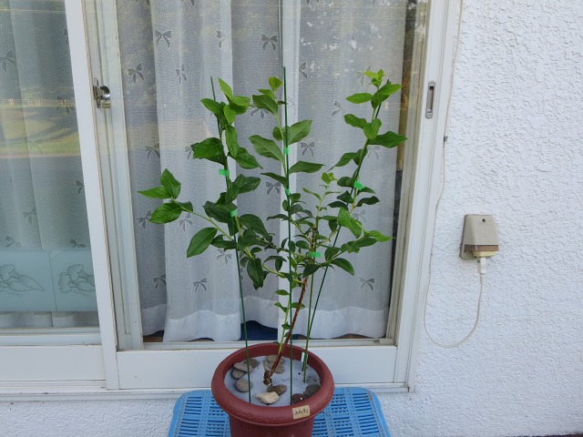 ファイル 6-5.jpg