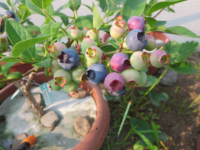 ファイル 60-4.jpg