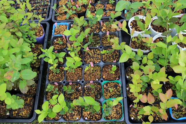 ファイル 63-6.jpg