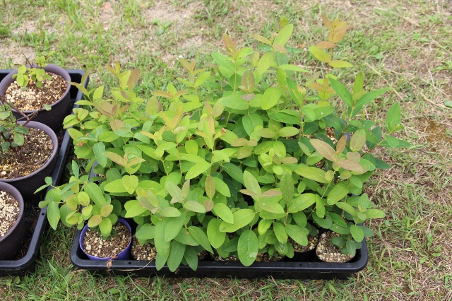 ファイル 63-8.jpg