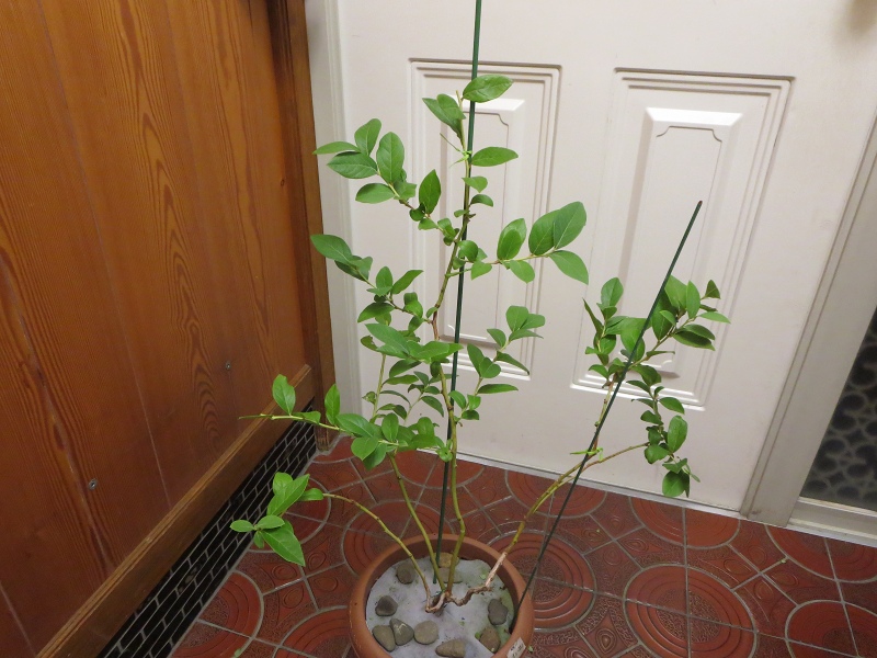 ファイル 68-2.jpg