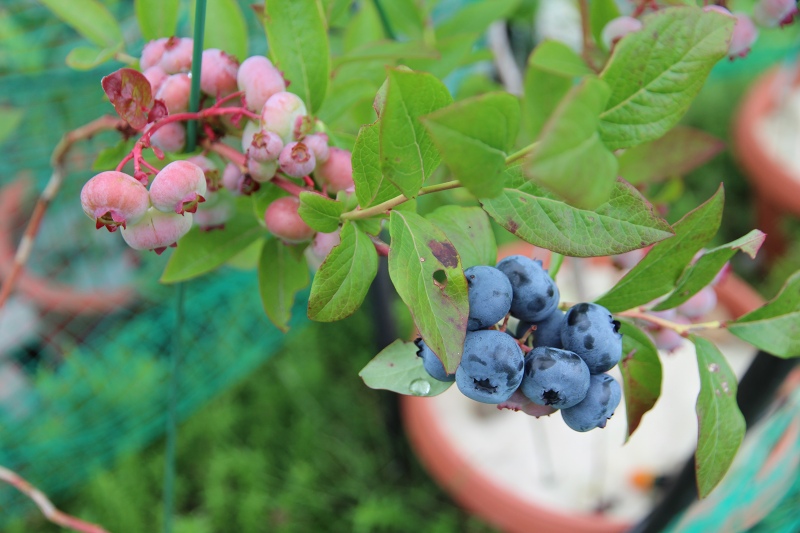 ファイル 69-3.jpg