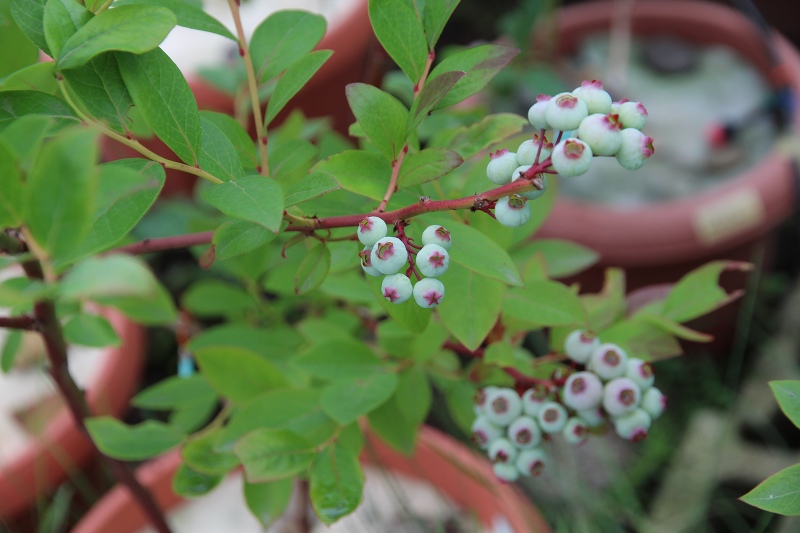 ファイル 69-5.jpg