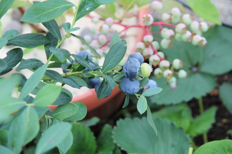 ファイル 70-2.jpg