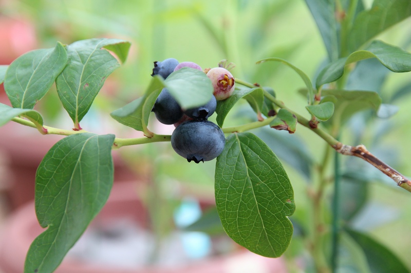 ファイル 70-3.jpg