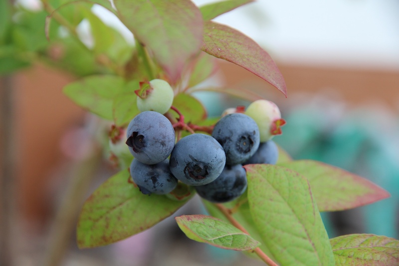 ファイル 70-4.jpg