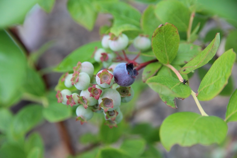 ファイル 70-5.jpg