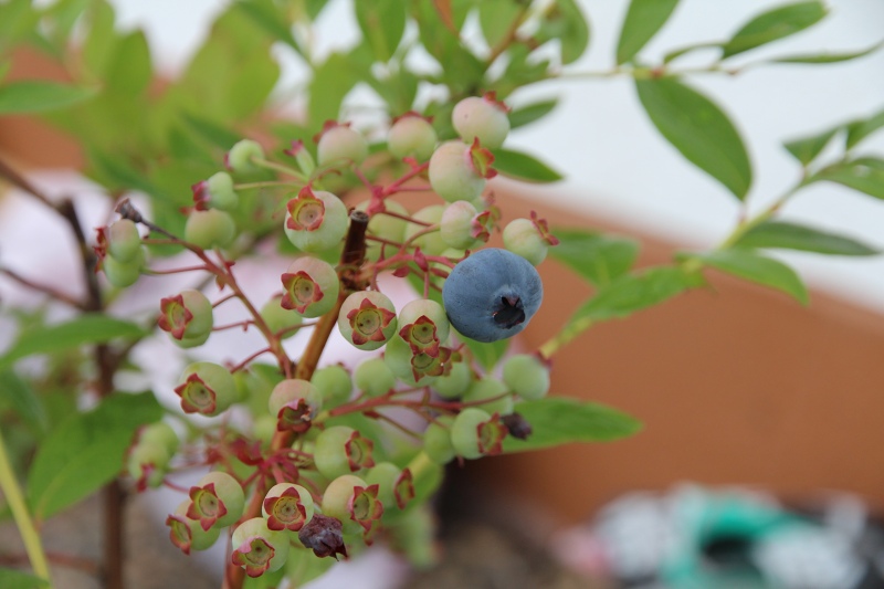 ファイル 70-6.jpg