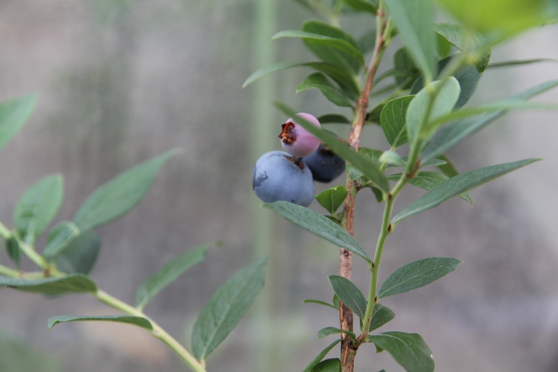 ファイル 70-7.jpg