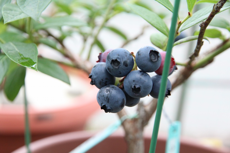 ファイル 70-8.jpg