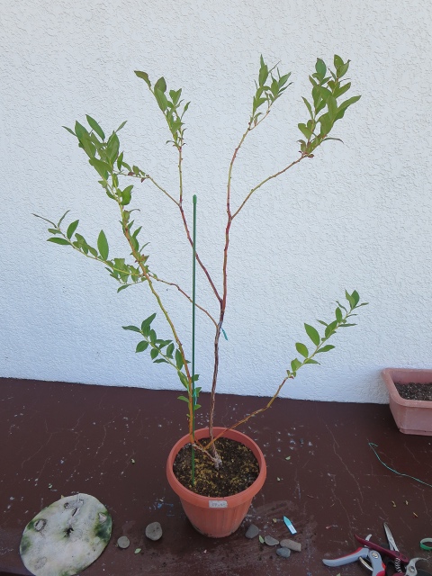 ファイル 71-2.jpg