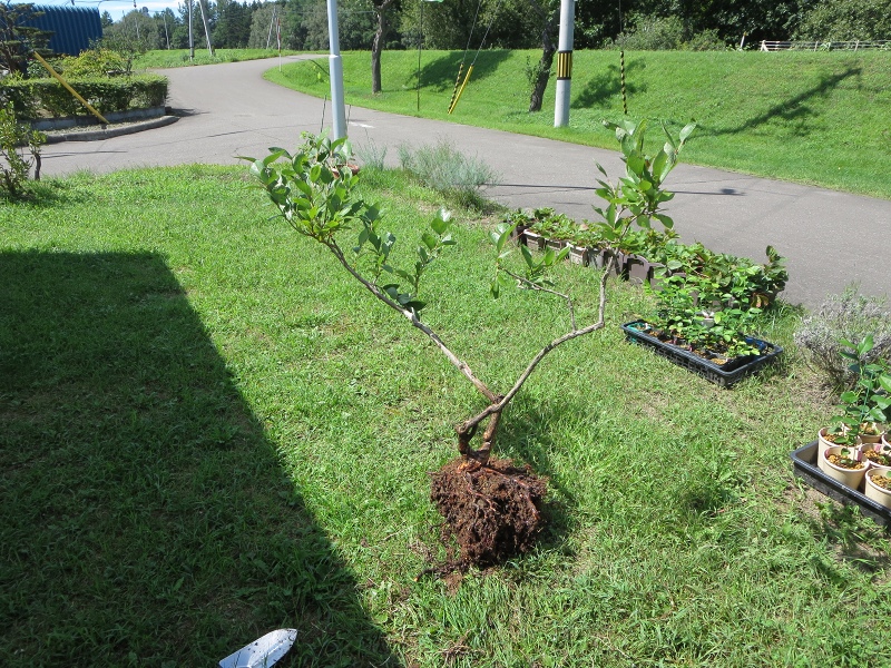 ファイル 75-4.jpg