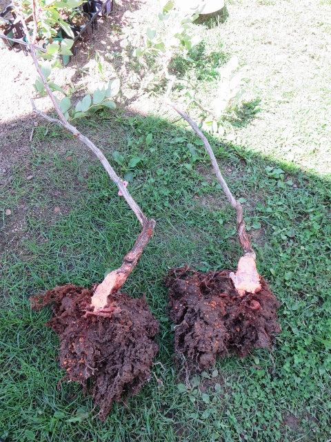 ファイル 75-6.jpg