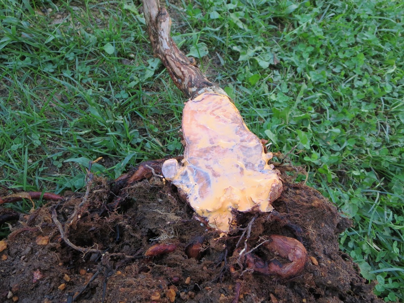 ファイル 75-8.jpg