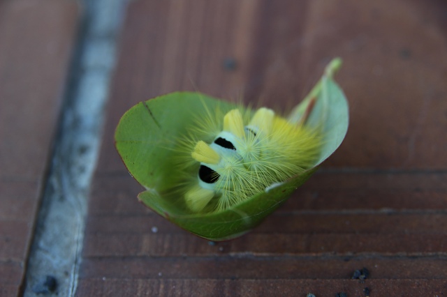 ファイル 76-2.jpg