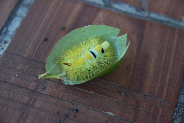 ファイル 76-3.jpg