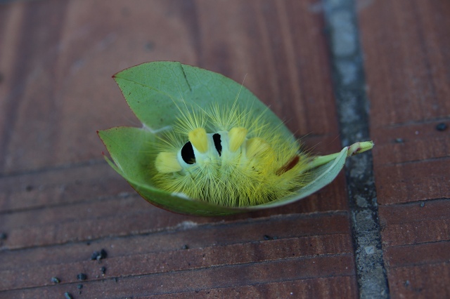 ファイル 76-4.jpg