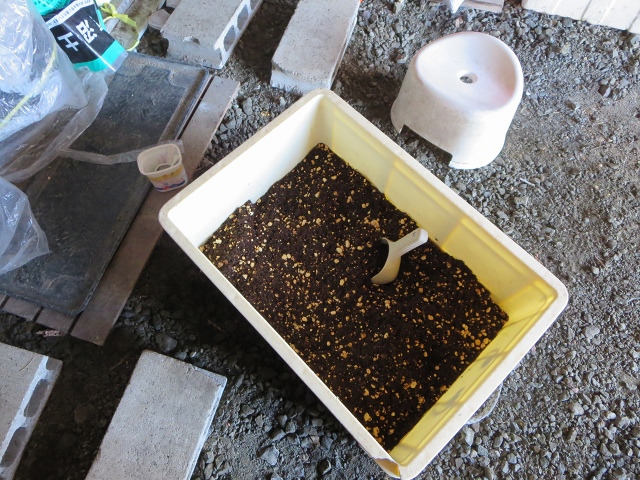 ファイル 77-1.jpg