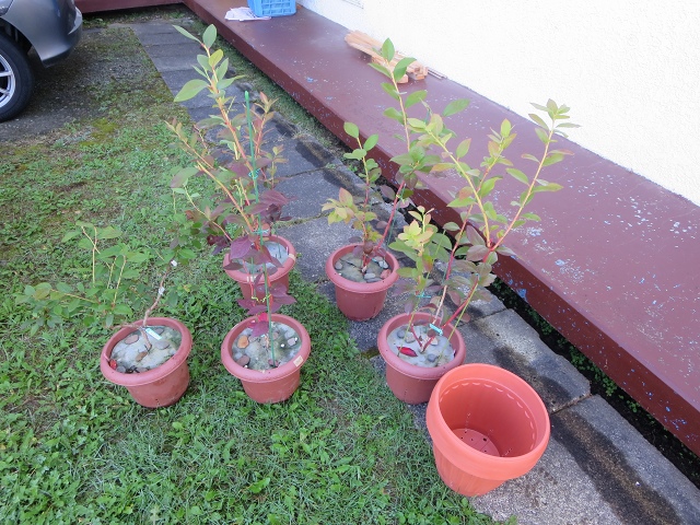 ファイル 77-2.jpg