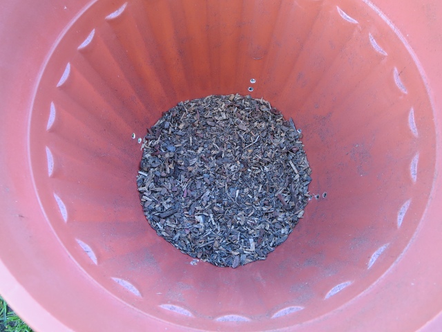 ファイル 77-3.jpg