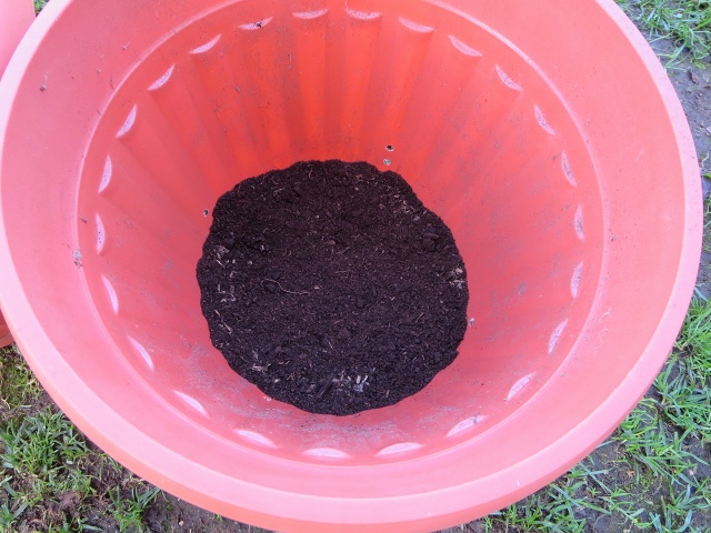 ファイル 77-4.jpg