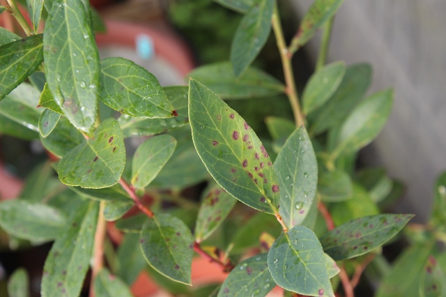 ファイル 77-7.jpg