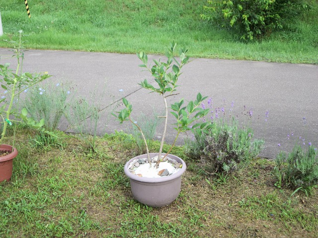 ファイル 8-4.jpg