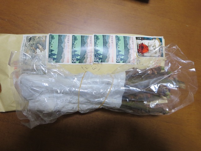 ファイル 80-1.jpg