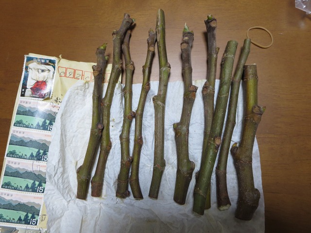 ファイル 80-2.jpg