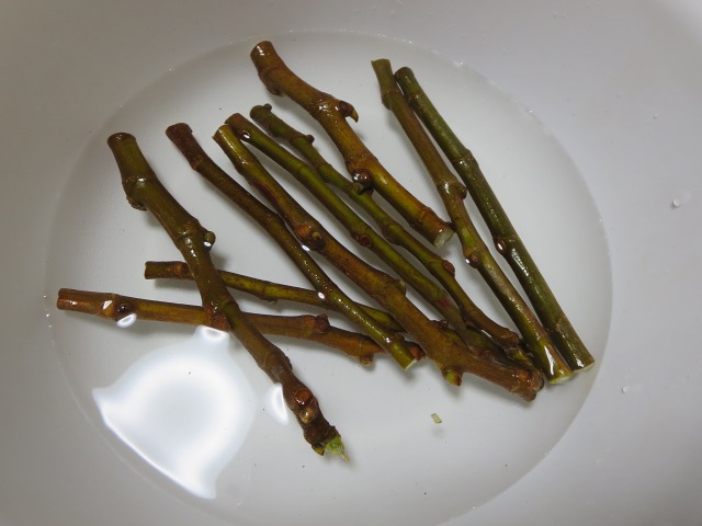 ファイル 80-3.jpg