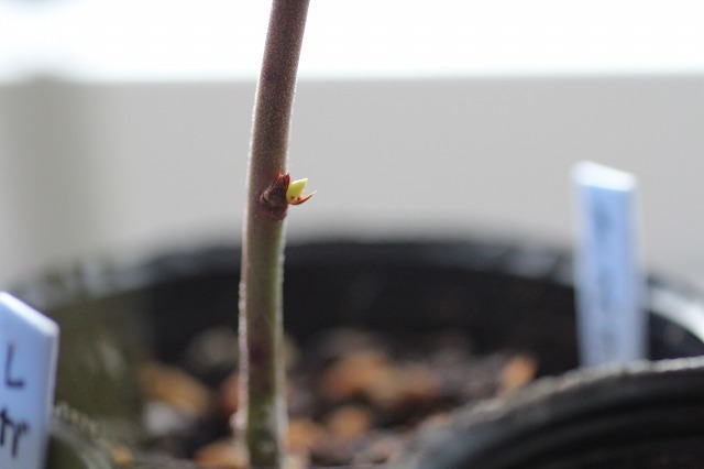 ファイル 80-8.jpg