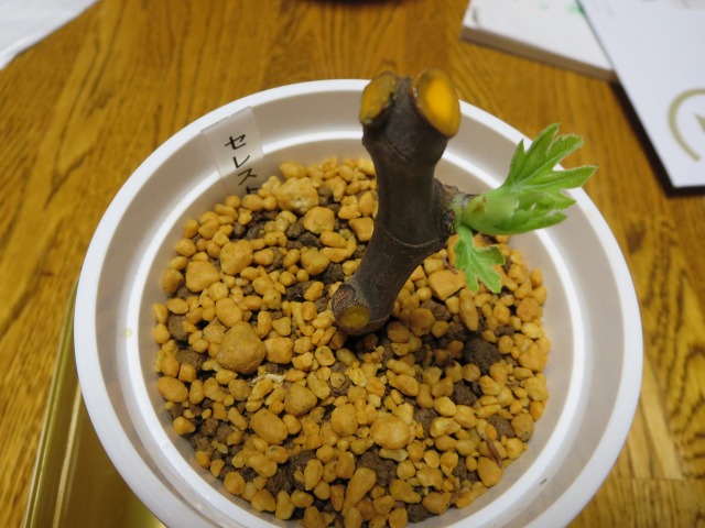 ファイル 82-2.jpg