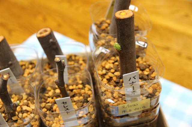 ファイル 82-5.jpg