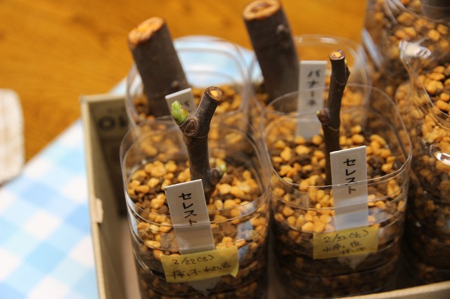 ファイル 82-6.jpg