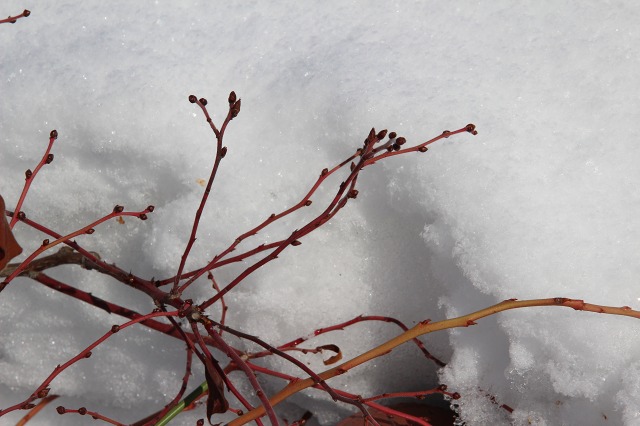 ファイル 82-8.jpg