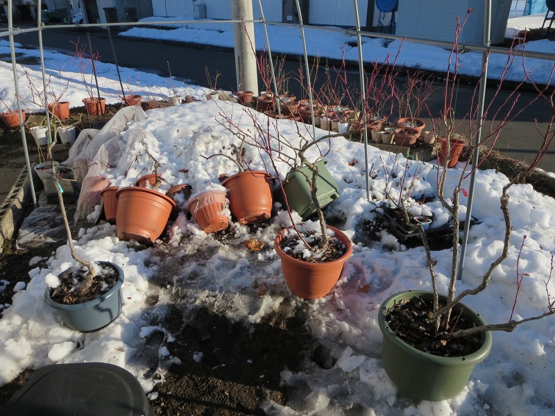 ファイル 84-4.jpg