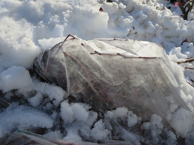 ファイル 84-5.jpg