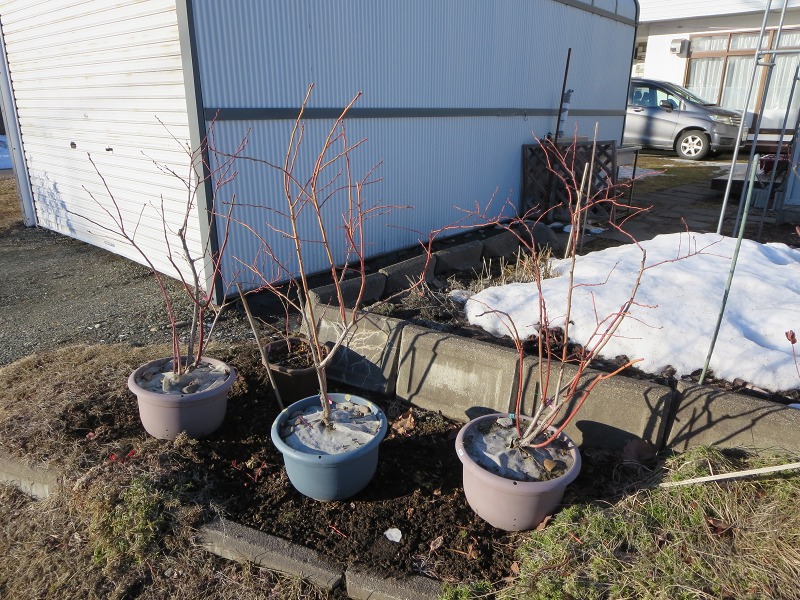 ファイル 84-6.jpg