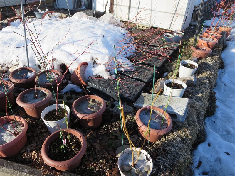 ファイル 84-7.jpg