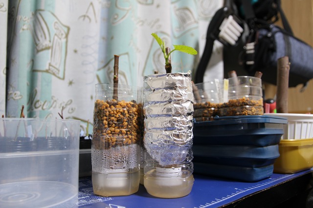 ファイル 85-4.jpg