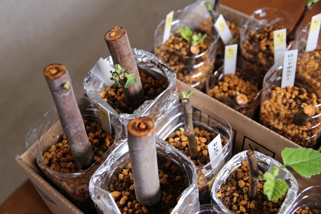 ファイル 86-2.jpg