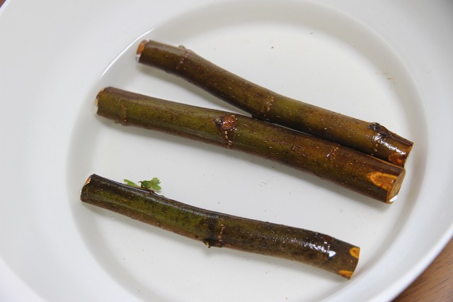 ファイル 87-1.jpg