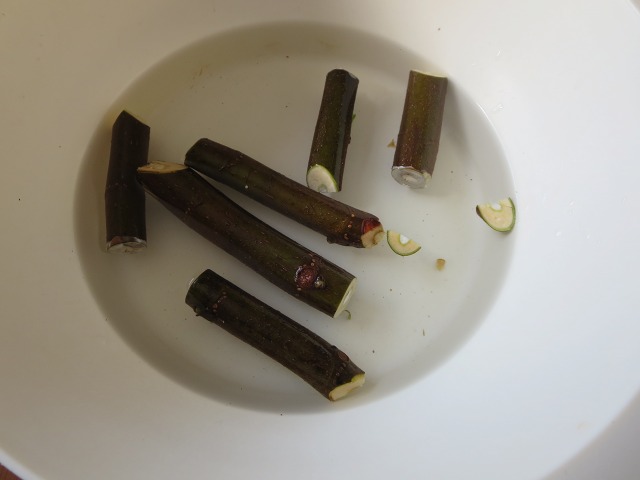 ファイル 87-2.jpg