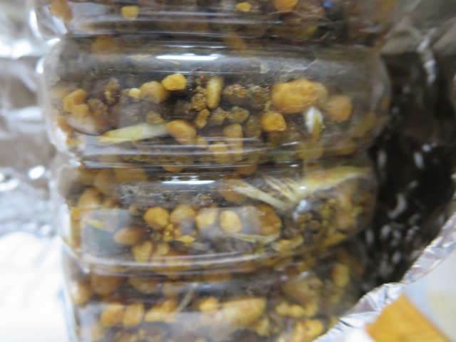 ファイル 87-5.jpg