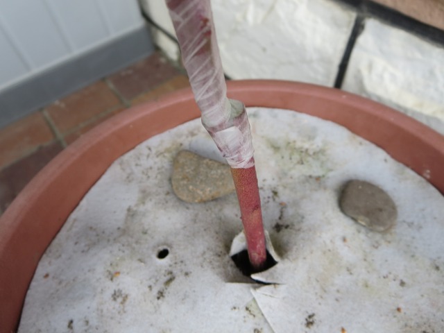 ファイル 88-6.jpg