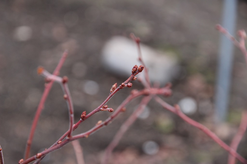 ファイル 89-2.jpg